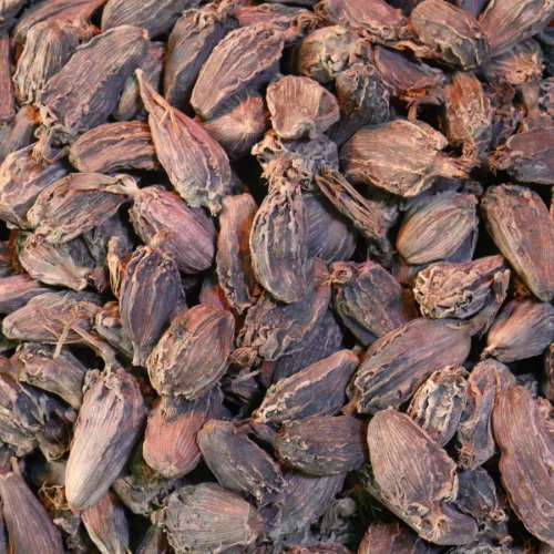 Black Cardamom